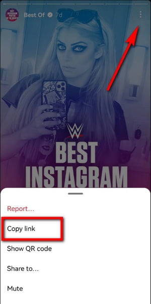 Copy the Instagram Story Link on Mobile