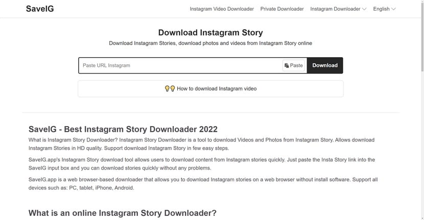 Instagram Story Downloader SaveIG