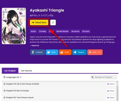 Hit Read Now Button on Manga Website