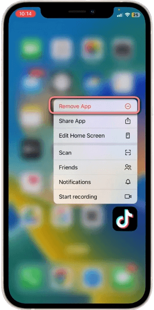 Remove TikTok App on Your Phone